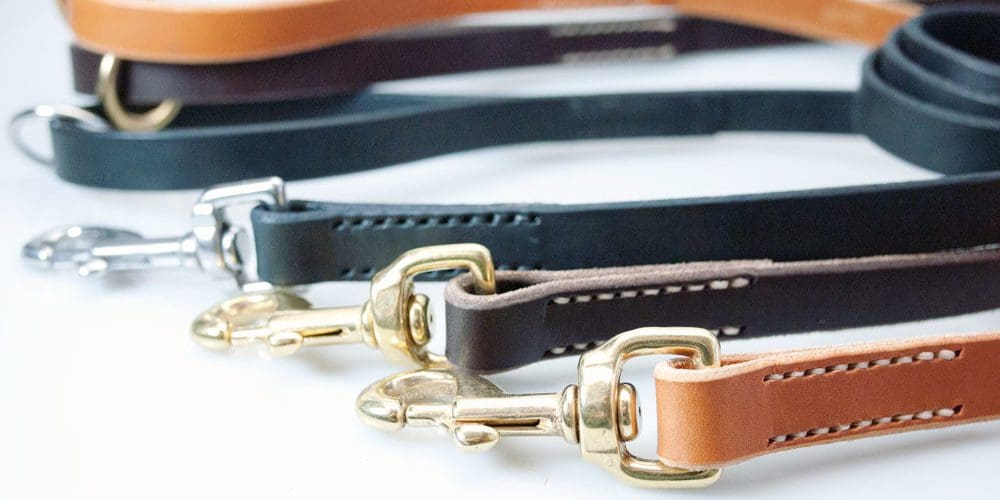 Modern Leather Dog Leash