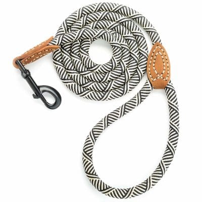 white and black dog leash