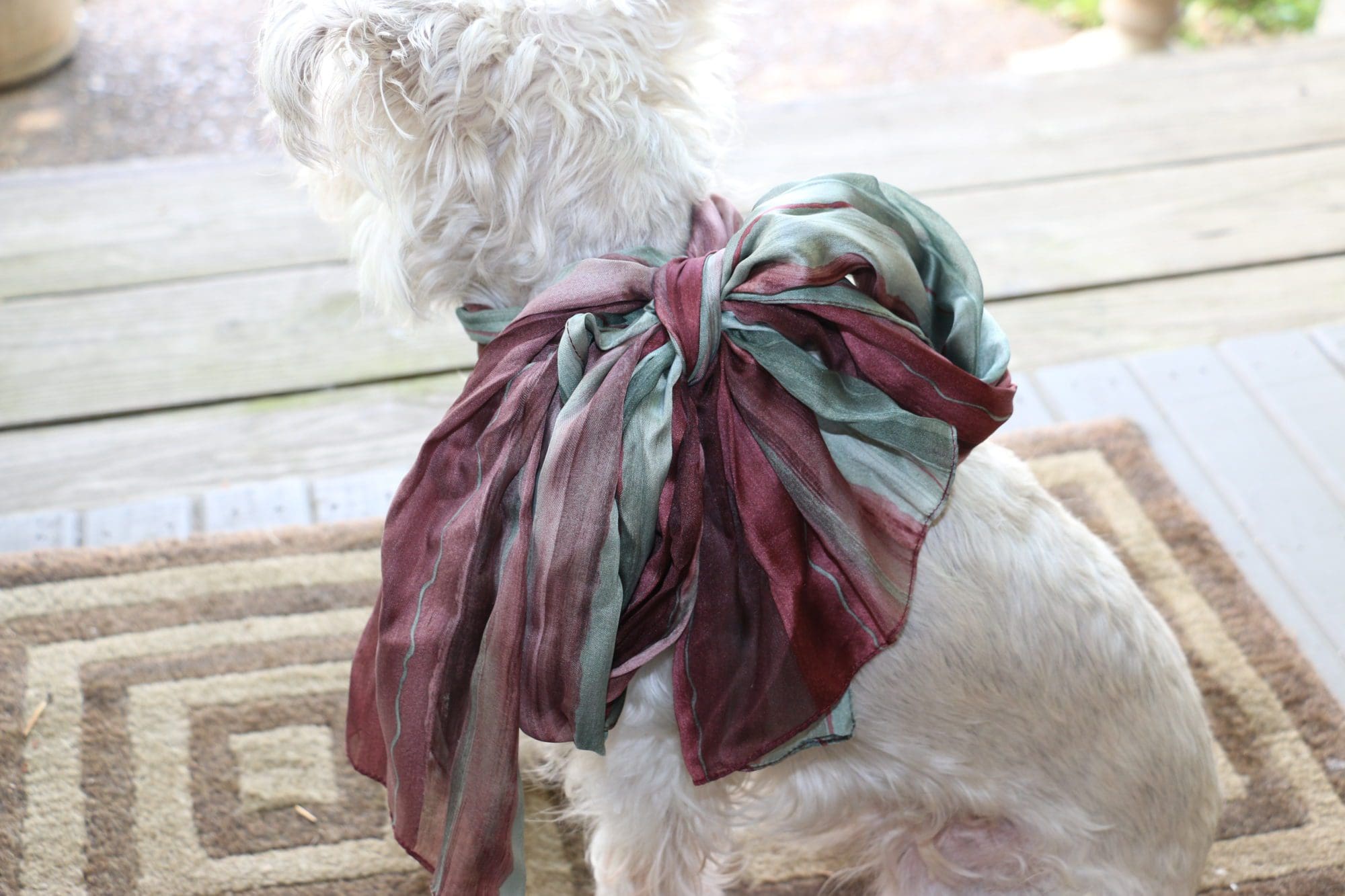 diy silk scarf scarves old dog cat pet home party decor boho