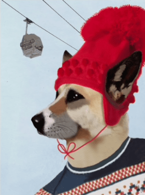 funky ski dog red hat