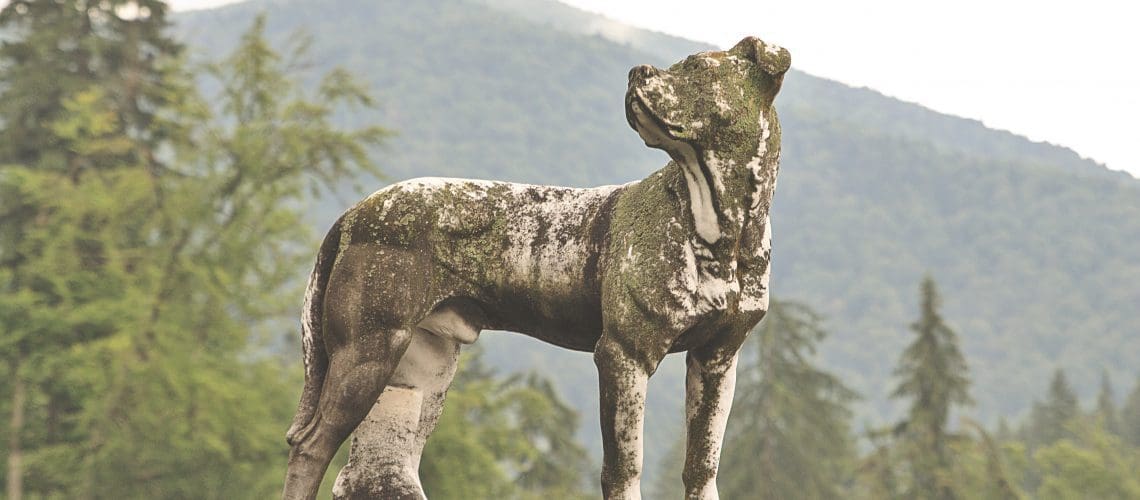 dog art statue