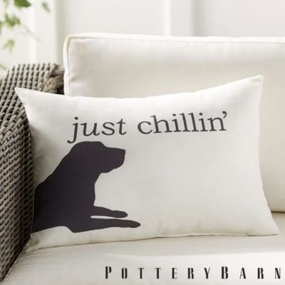 just chillin dog pillow canvas black dog sofa outdoor furniture pottery barn dog products dog home dog space ideas interior design decorating