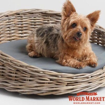 yorkie dog bed world market cost plus unique dog pet cat products wicker unusual gifts