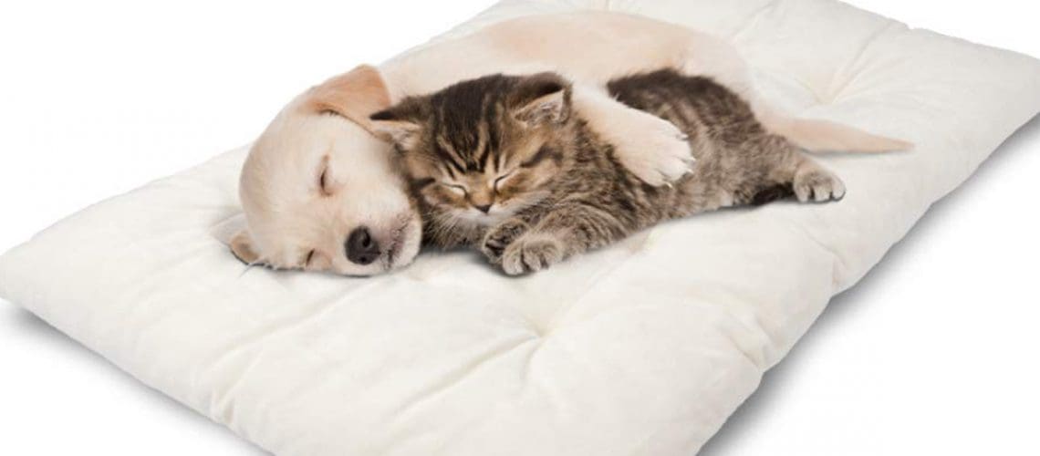 dog cat bed cushion bedding