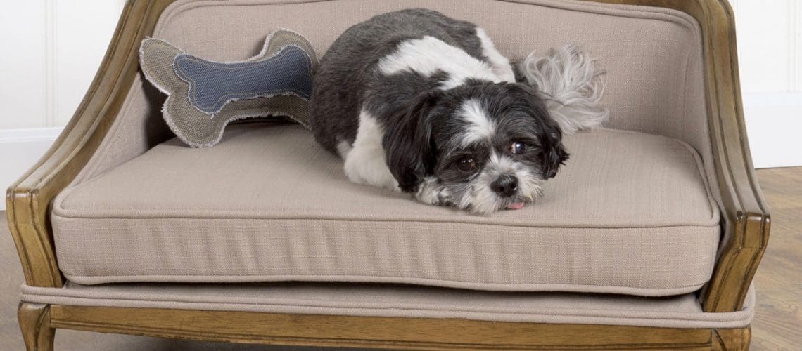 best dog beds