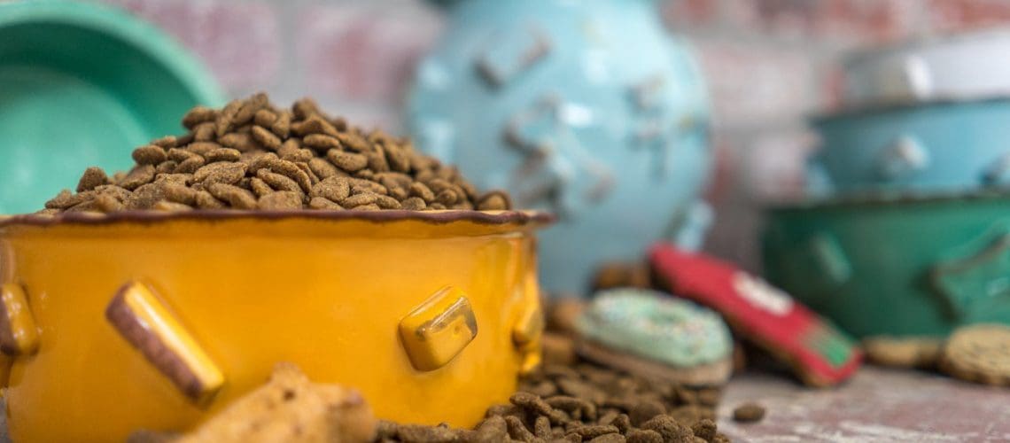 dog and cat food and water bowl shop
