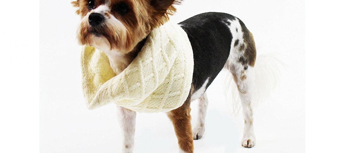 pet scarves and neckwear