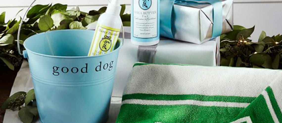 pet grooming supplies