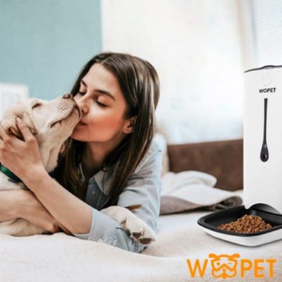 wopet pet monitors how to track my dog lost dog dog gps find my dog where is my dog run away dog help dog has run away