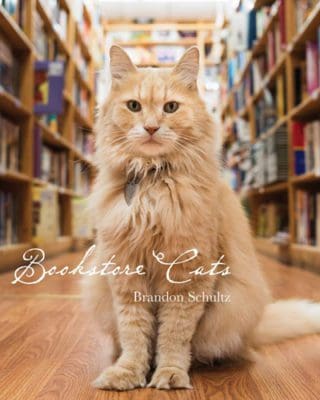 bookstore shop picture book cat kitten lover gift idea