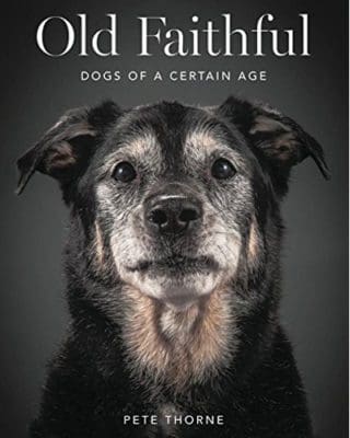 what is the best book for dog lovers
