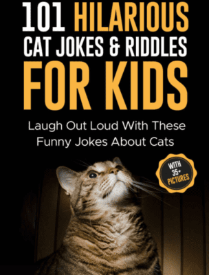 cat jokes book for kids family holiday thank you sitter walker groomer