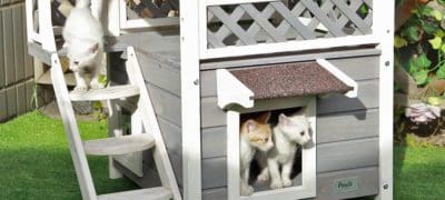cat playhouses