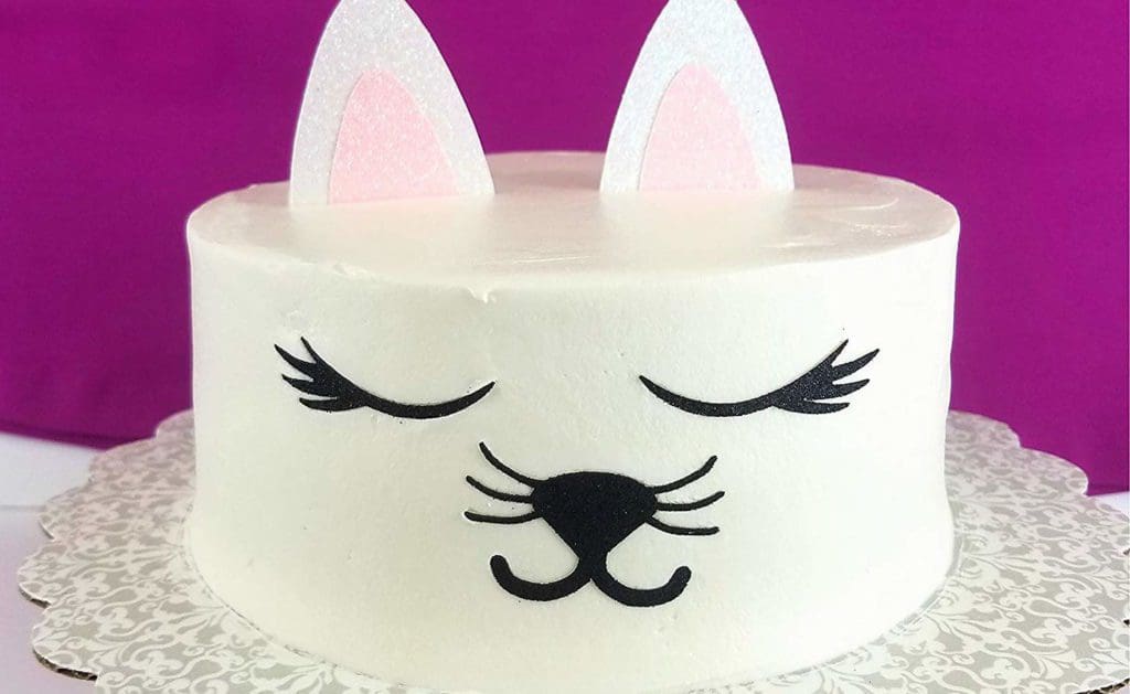 cat birthday party cake