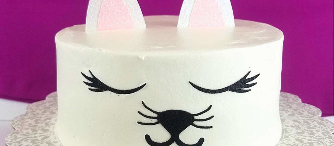 cat birthday party cake