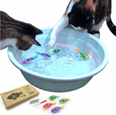 cat party games birthday fish chase play kitty party theme 