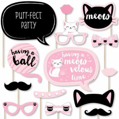 Cat party photo booth props