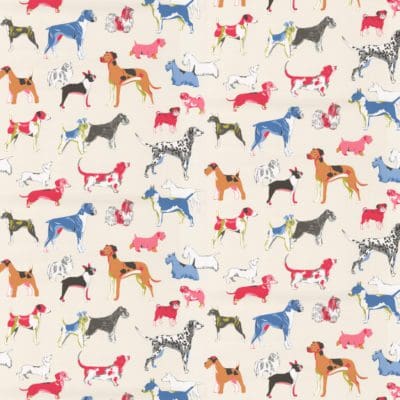 dog colorful wall paper