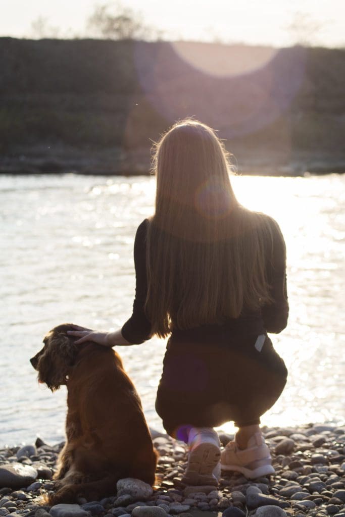 spaniel dog breed water swim boat vacation travel friend best fun enjoy lady walk rocks water sun