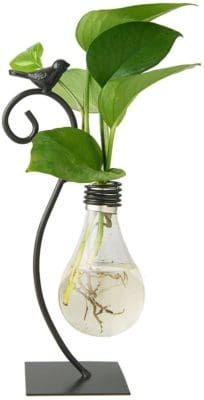 vintage antique light bulb vase desk plant holder decor