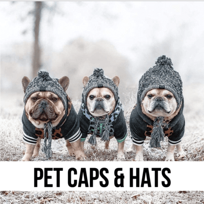 LEAD dog cat pet hats caps bulldog outdoor winter cold weather accessories supplies christmas