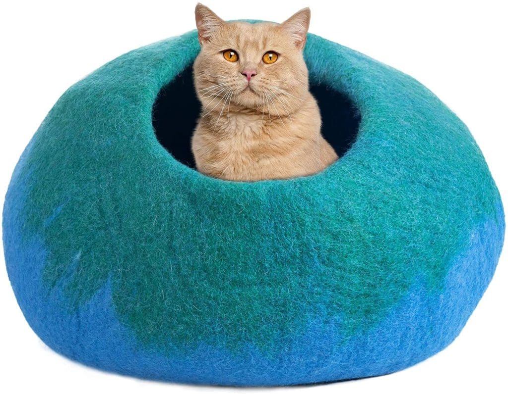 royal blue cat bed