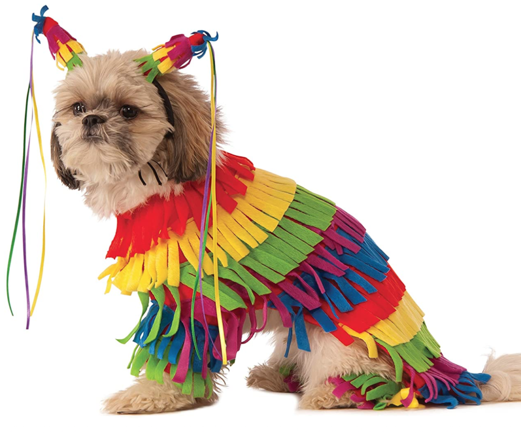 dog pinat a costume