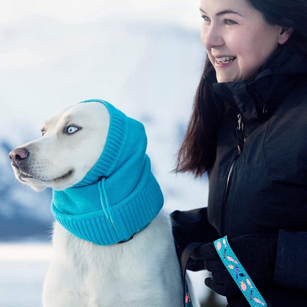 pet winter dog scarf  