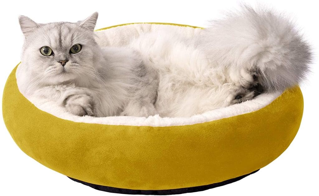 mustard cat bed