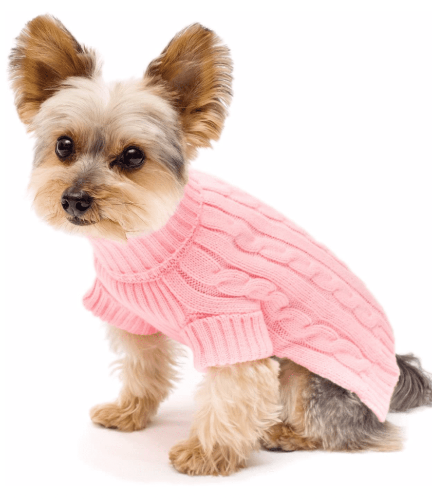 yorkie terrier dog sweaters cat sweater pink knit 