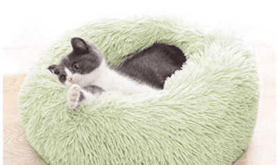 mint cat bed