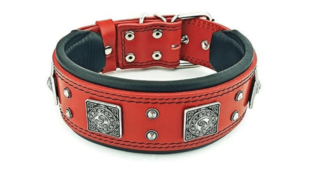 red fashion dog collar 