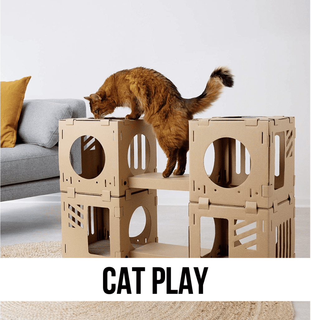LEAD Cat kitten play toys tower display indoor games house
