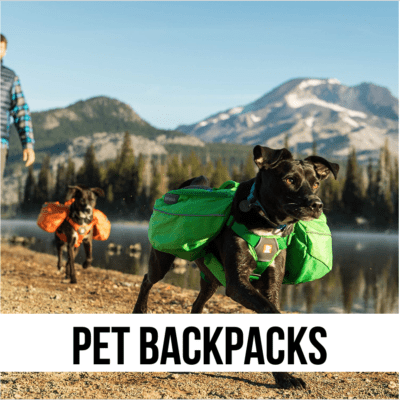 dogs hiking man mountains supplies backpack saddlebag carry tote supplies camping