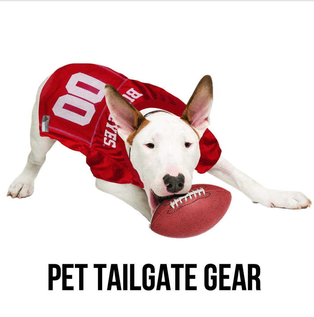 LEAD dog cat pet tailgate football costume supplies ohio state buckeyes bull terrier