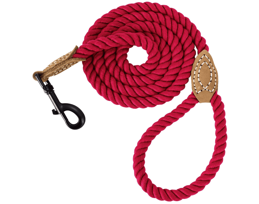 classic dog leash red cotton