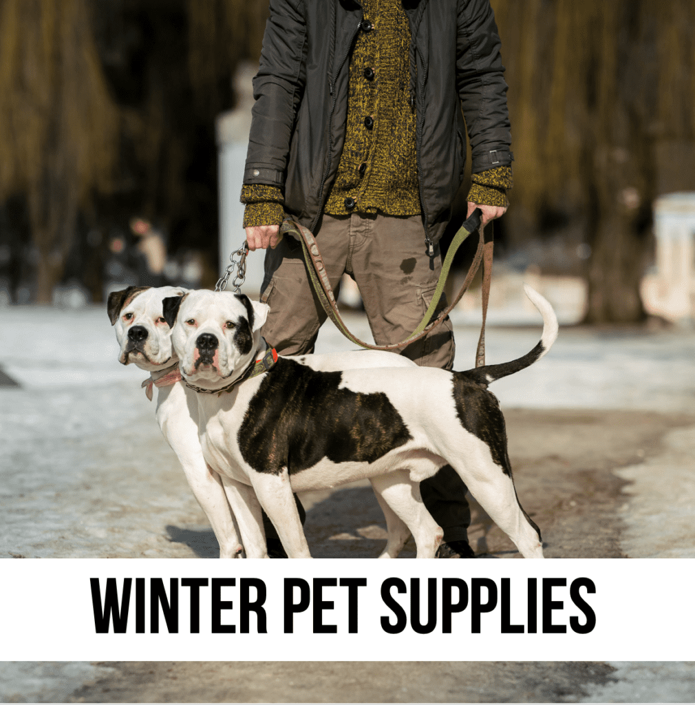 LEAD pet winter supplies leash cold weather snow cabin skiing jackets coats shoes boots hiking walking warm heated