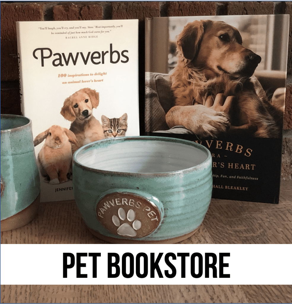 dog pet cat bookstore novel coffee table journals gifts cookbooks recipes treats food