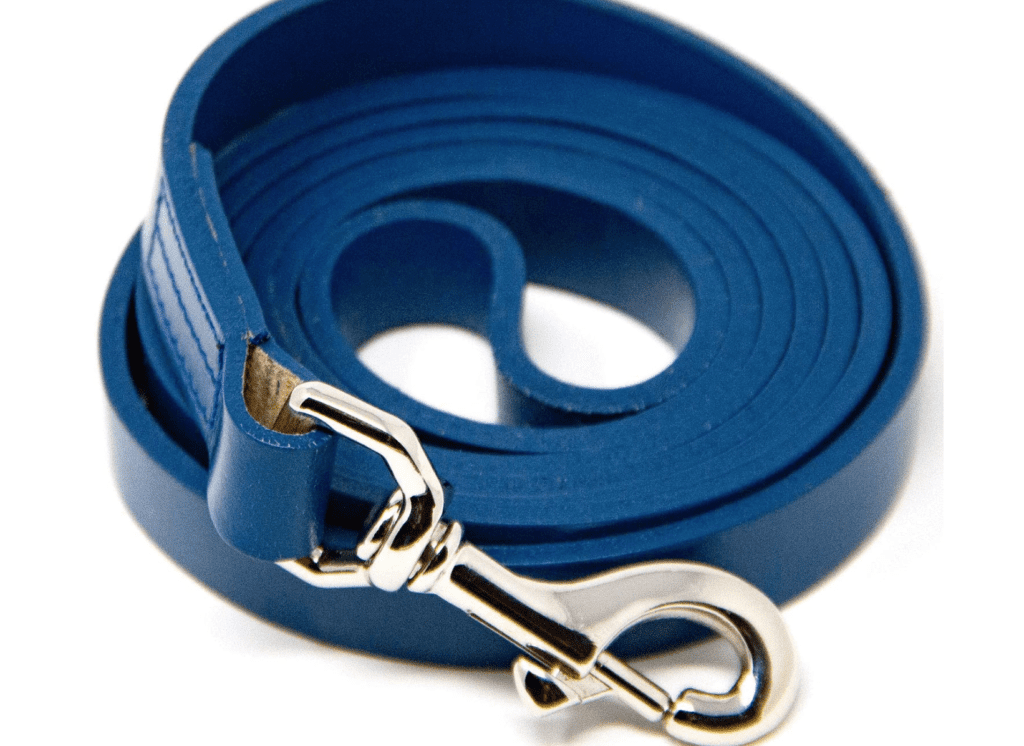 royal blue dog lea