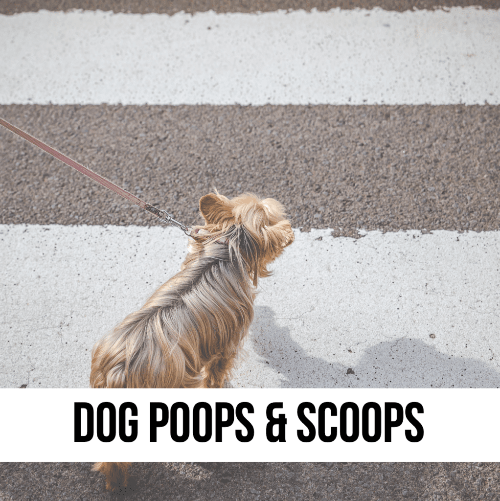 LEAD dog poops scoops bags leash supplies gifts