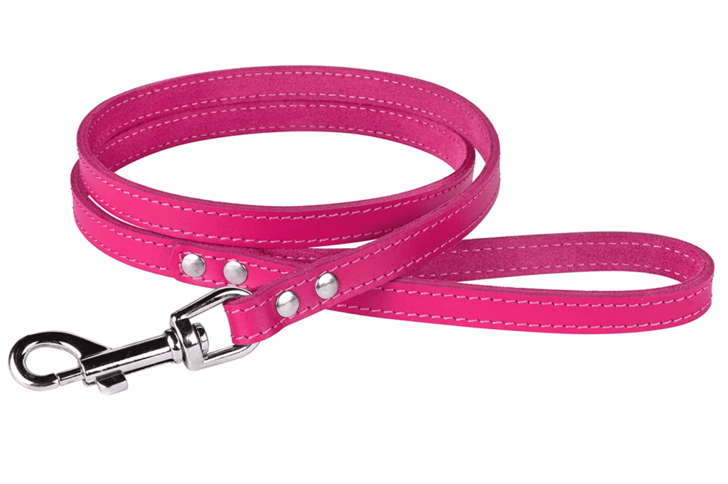 hot pink fuchsia bright magenta barbie girl strawberry  dog leash