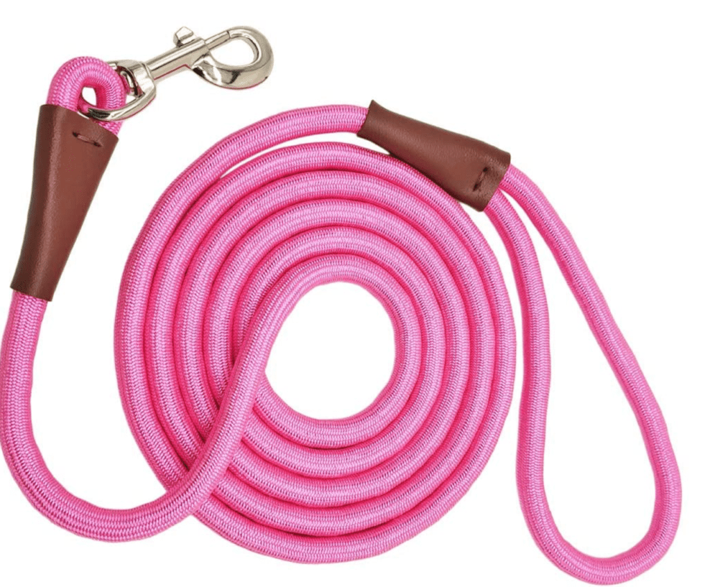 barbie dog leash 