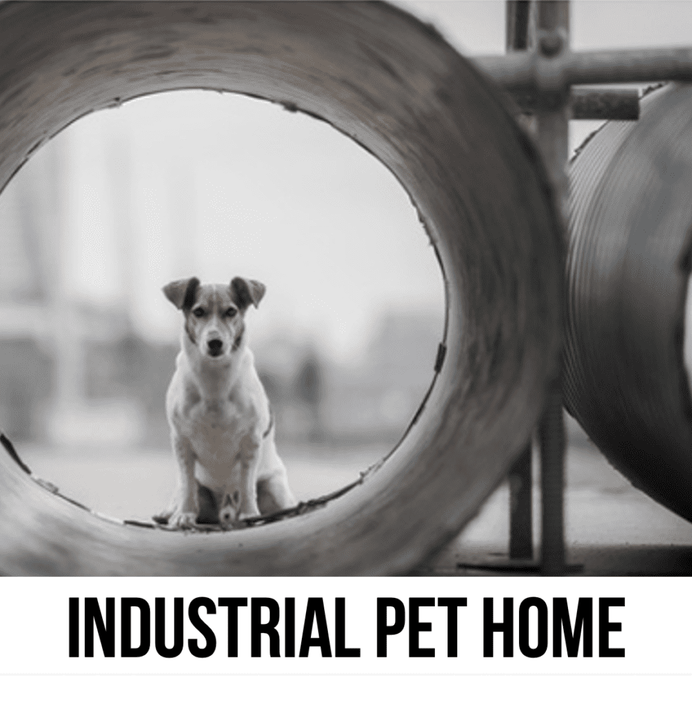 LEAD Industrial pet home decor gift dog cat modern farmhouse rustic gift furniture