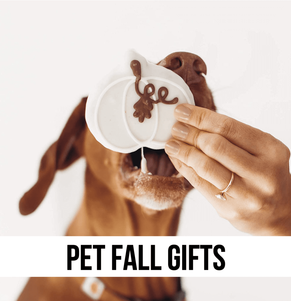 fall gift shop dog cat pets animals