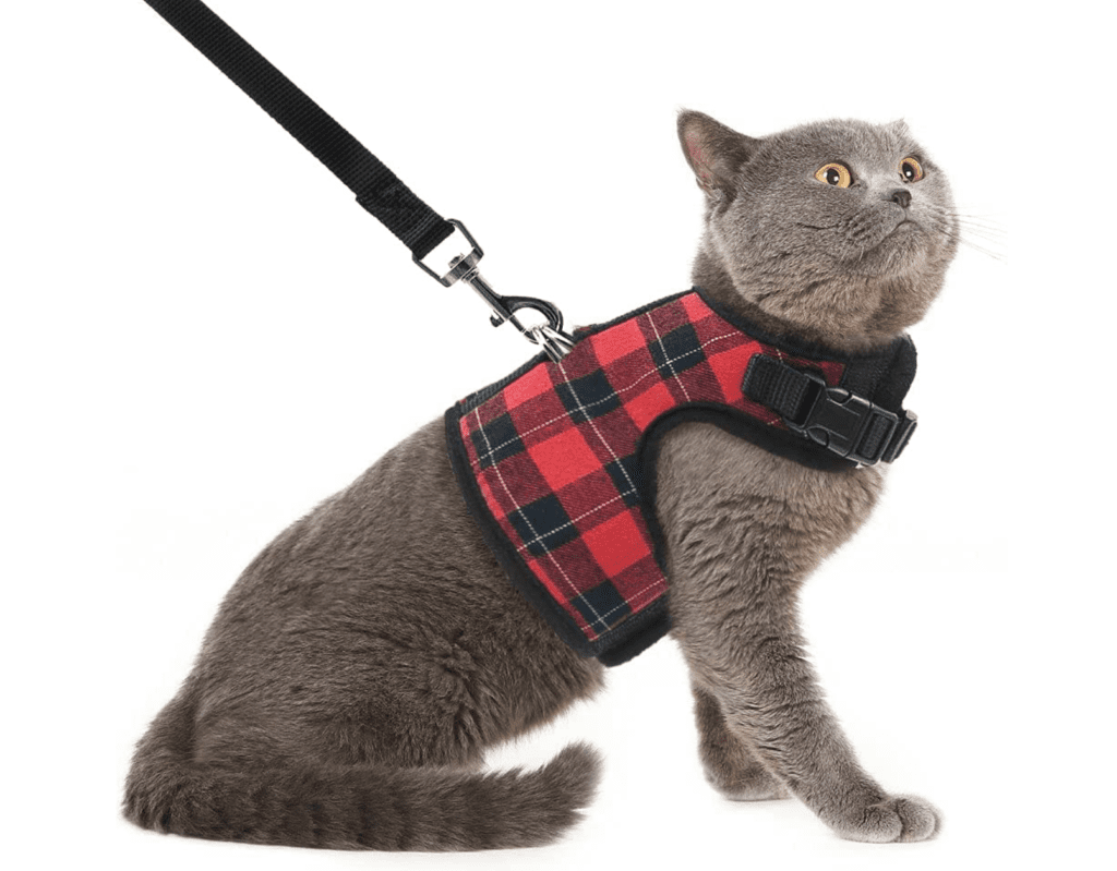 cat harness shop