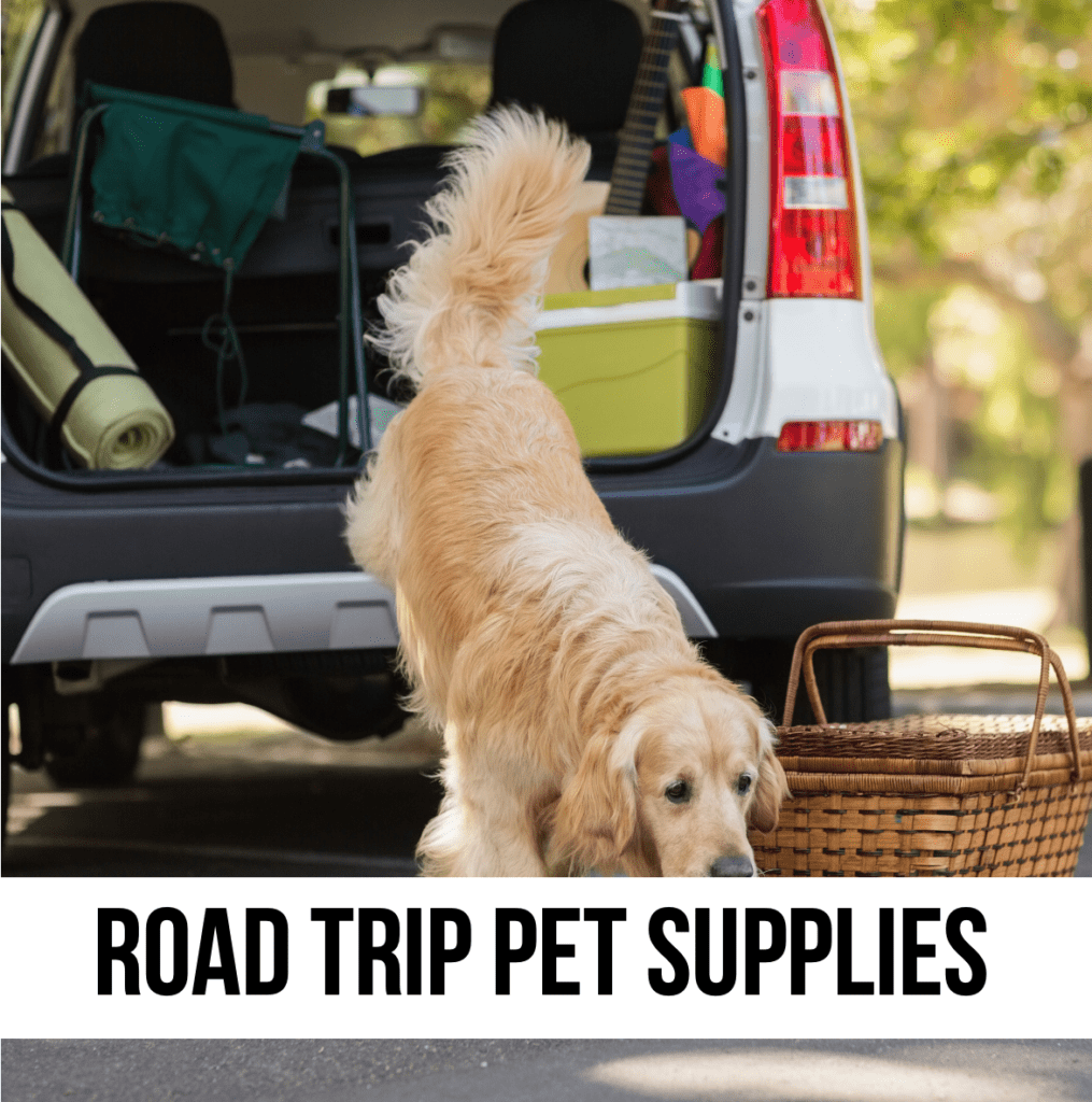 LEAD dog cat pet car vehicle travel supplies boat protect