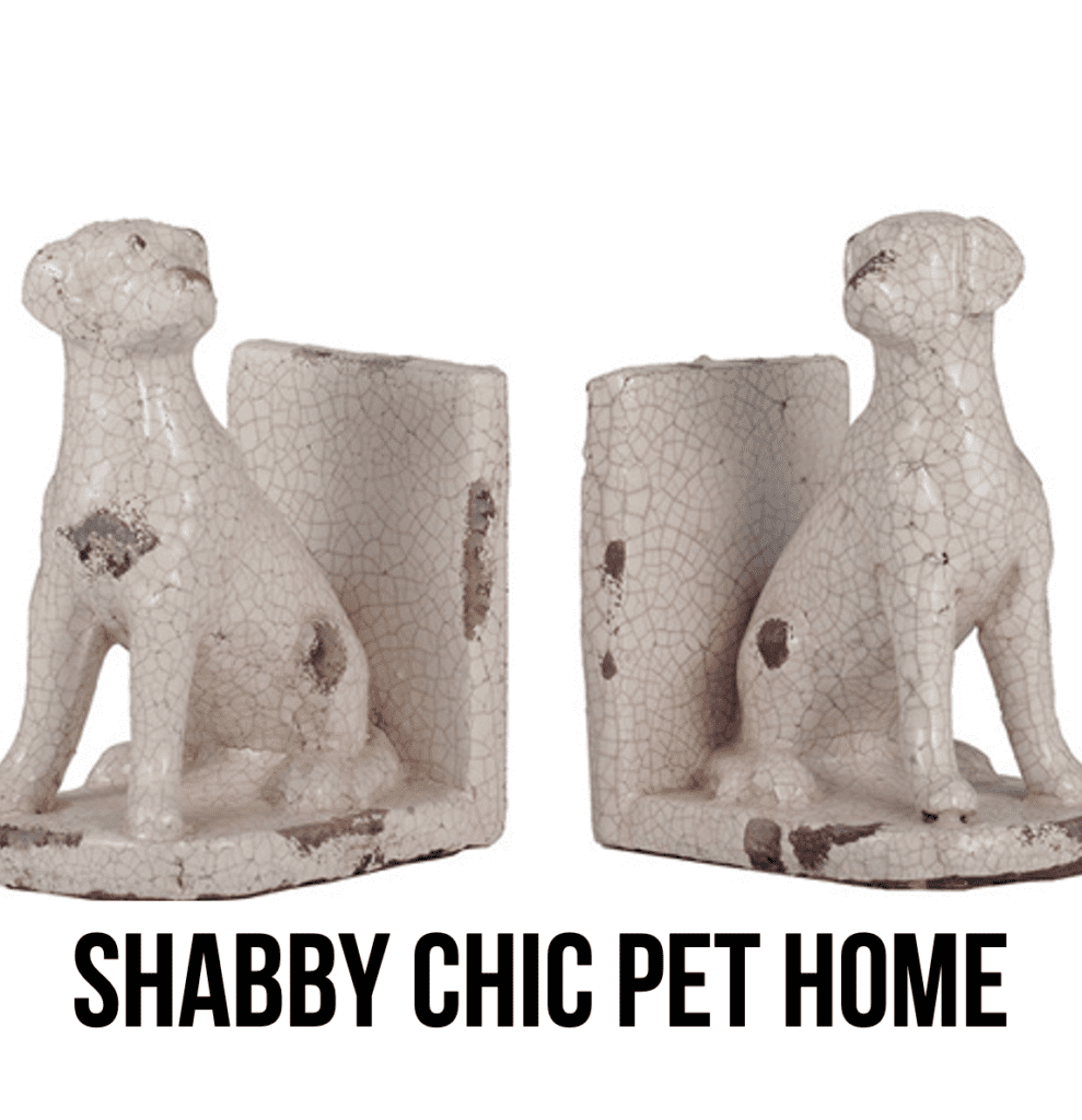 LEAD shabby chic boho rustic distressed dog cat pet supplies