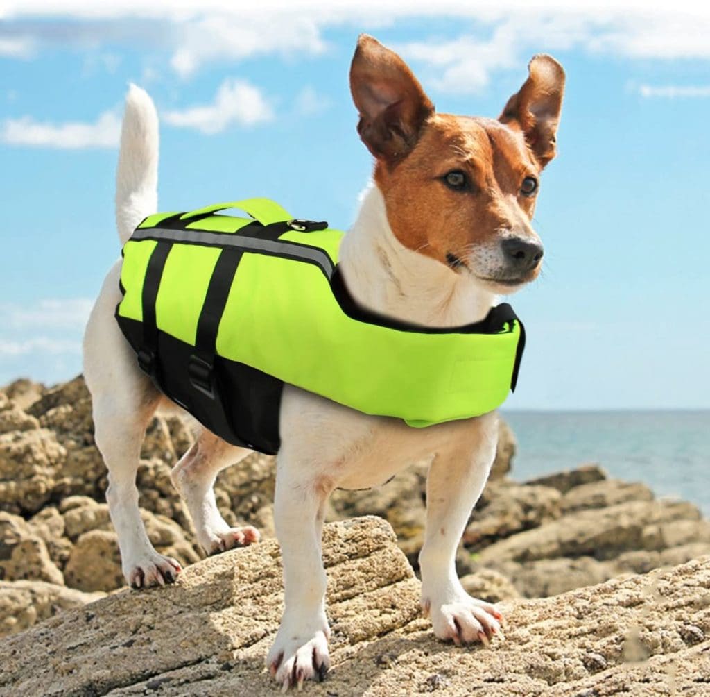 dog boat water life jacket float flotation summer beach pool 