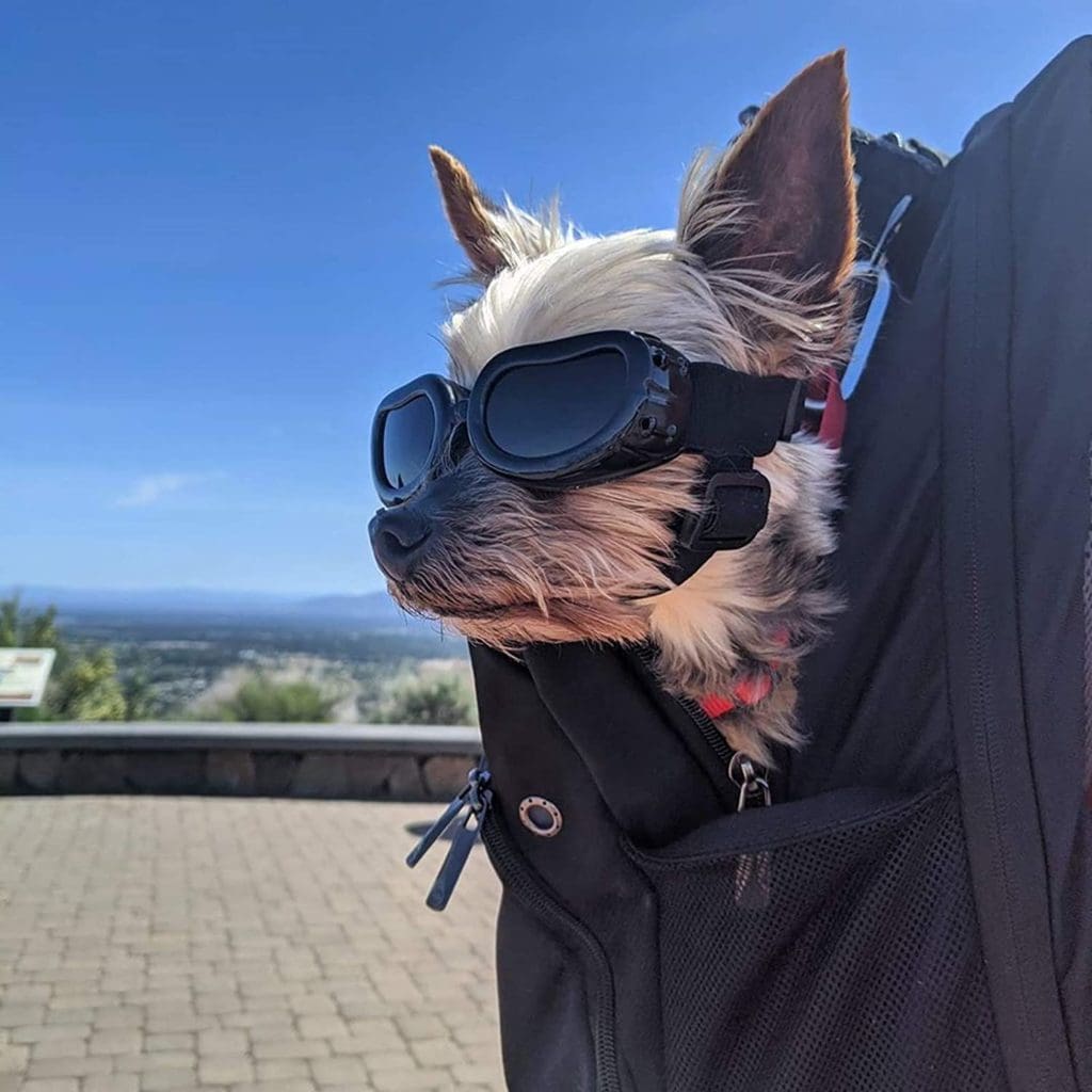 Dog puppy bike cycling car motorcycle glasses goggles eyewear supplies best top fashion 