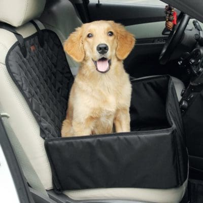 pet car seat carseat dog puppy kitten cat safety supplies gear travel road trip golden